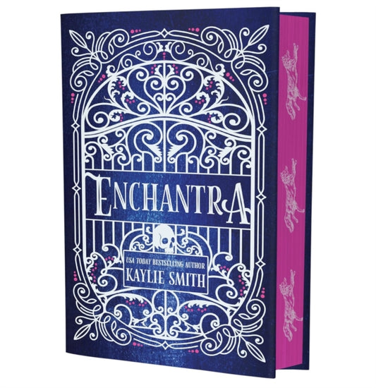 Enchantra : A spicy fantasy romance - 9781836186717