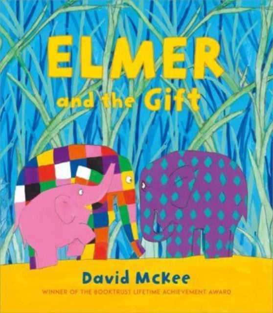 Elmer and the Gift - 9781839131608