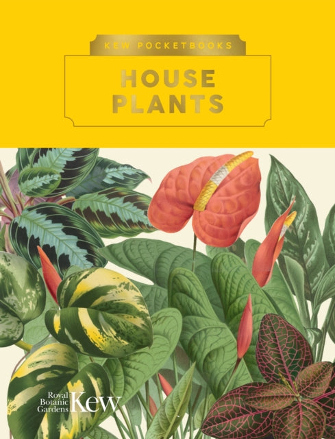 Kew Pocketbooks: House Plants - 9781842468067