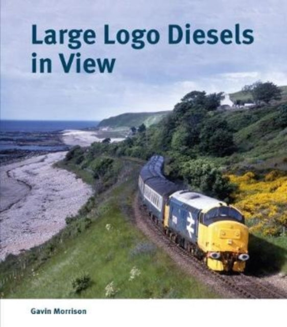 Large Logo Diesels in View - 9781854144348