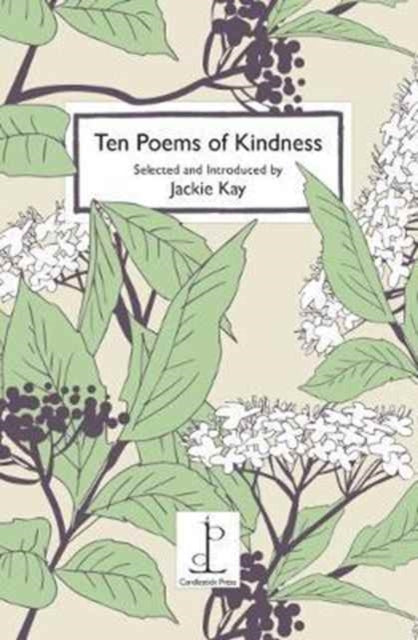 Ten Poems of Kindness: Volume One - 9781907598463