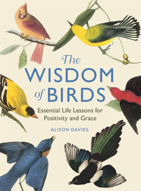 The Wisdom of Birds : Essential Life Lessons for Positivity and Grace - 9781915751140