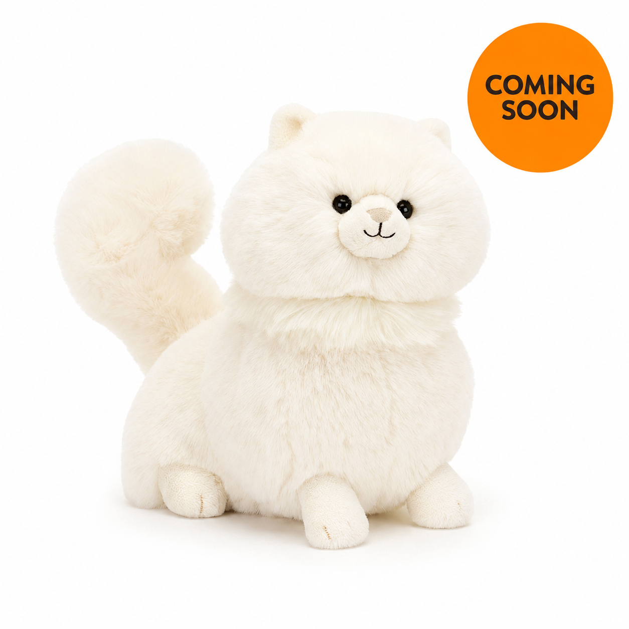 Carissa Persian Cat