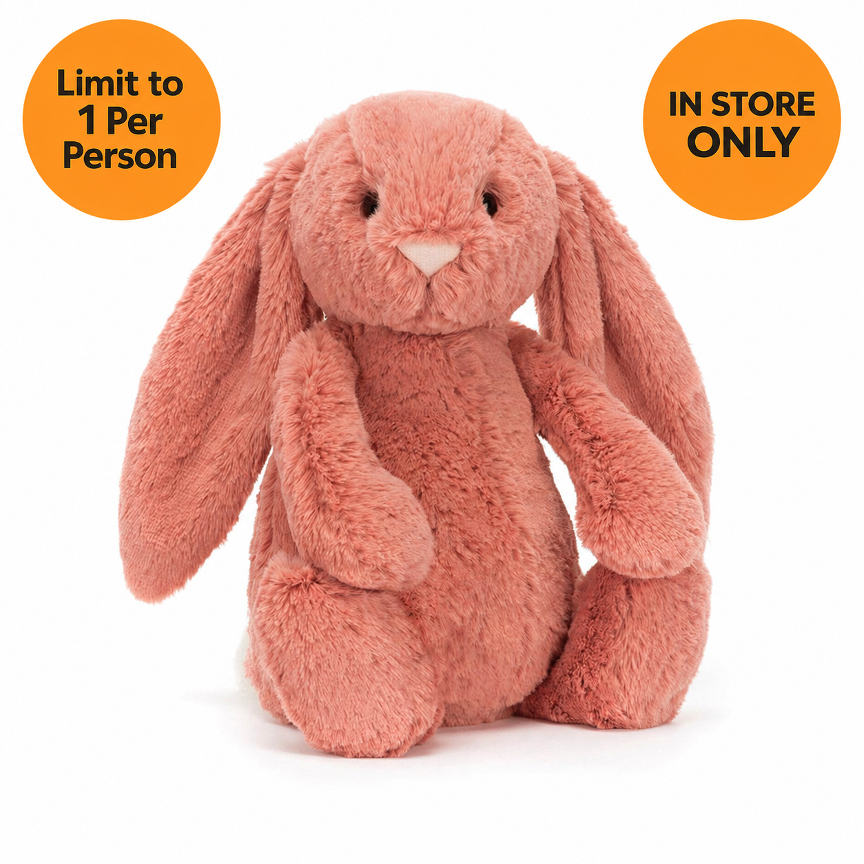 Bashful Sorrel Bunny Original