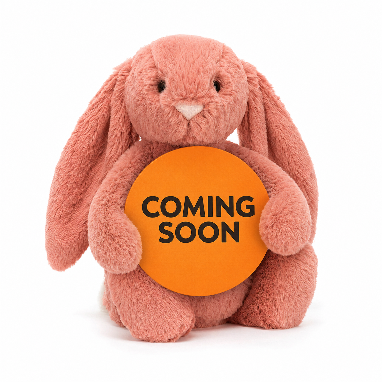 Bashful Sorrel Bunny Original
