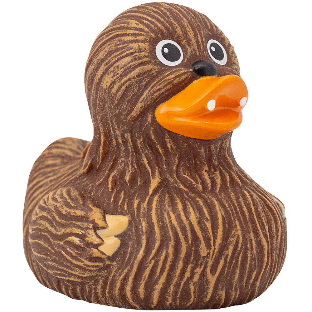 Whooping Duck