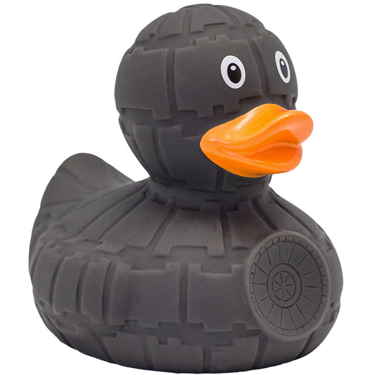 Grey Star Duck