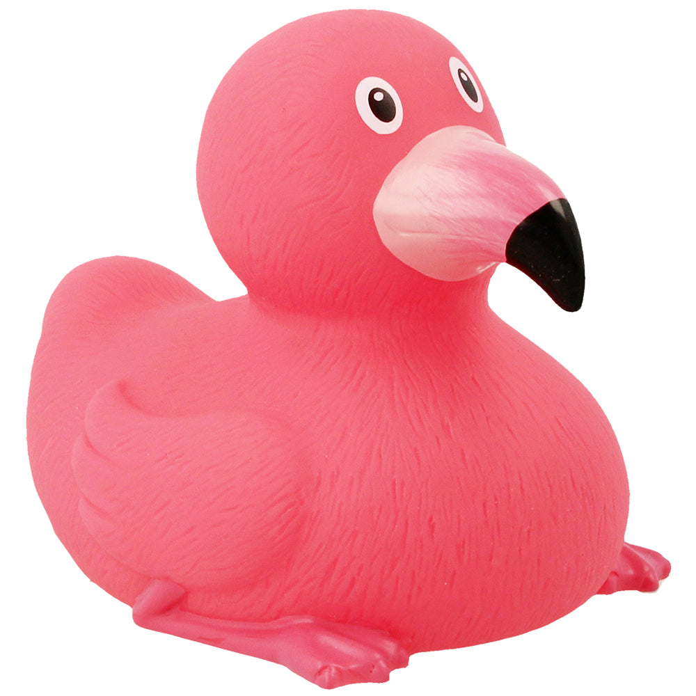 Flamingo Duck